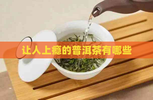 让人上瘾的普洱茶有哪些