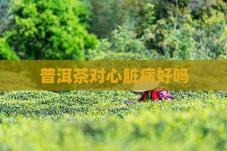 普洱茶对心脏病好吗