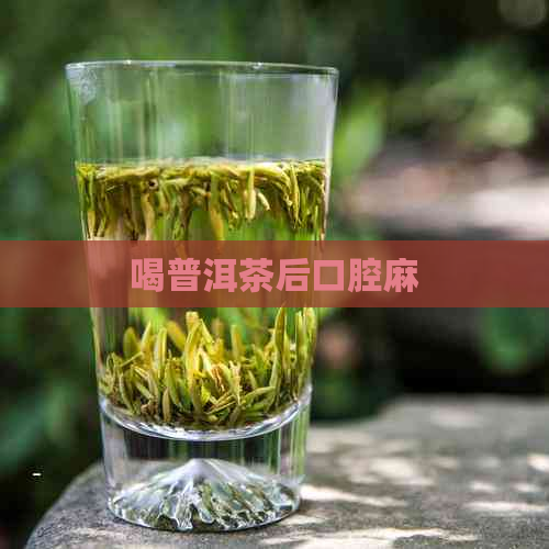 喝普洱茶后口腔麻