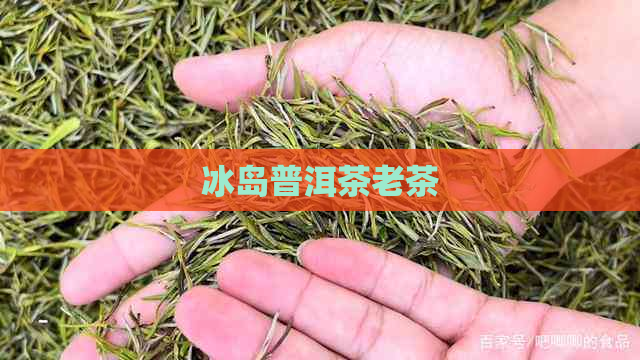 冰岛普洱茶老茶