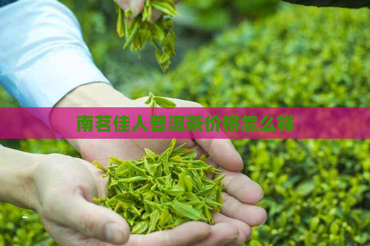 南茗佳人普洱茶价格怎么样