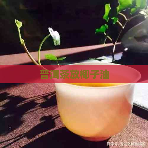 普洱茶放椰子油