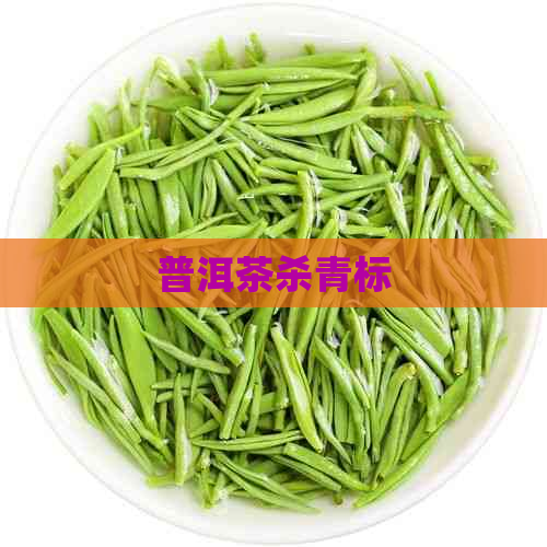 普洱茶杀青标