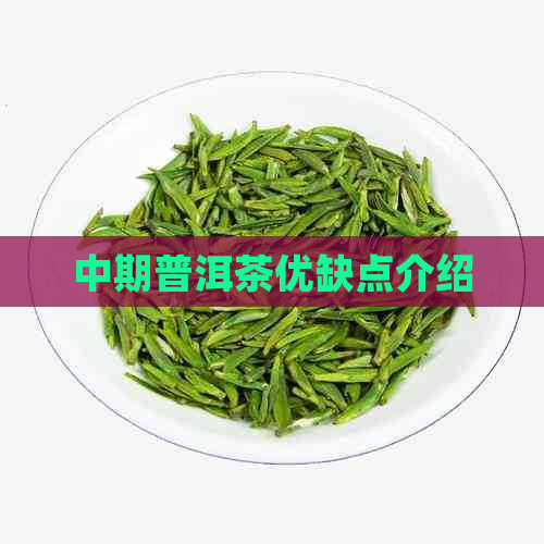 中期普洱茶优缺点介绍