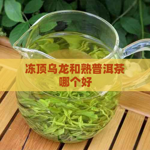 冻顶乌龙和熟普洱茶哪个好