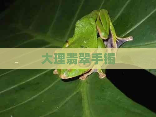 大理翡翠手镯