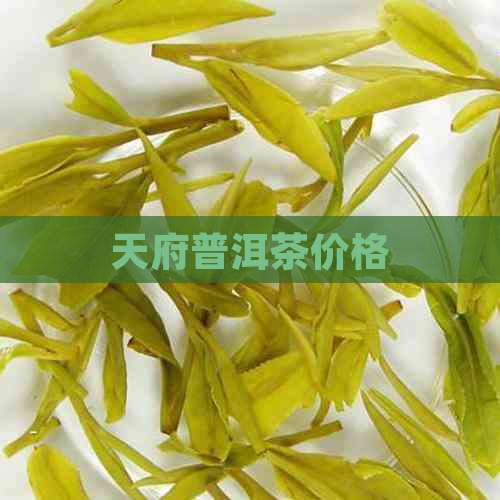 天府普洱茶价格