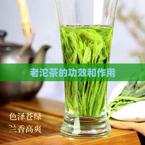 老沱茶的功效和作用