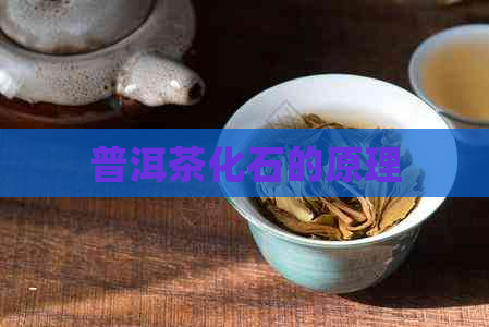 普洱茶化石的原理