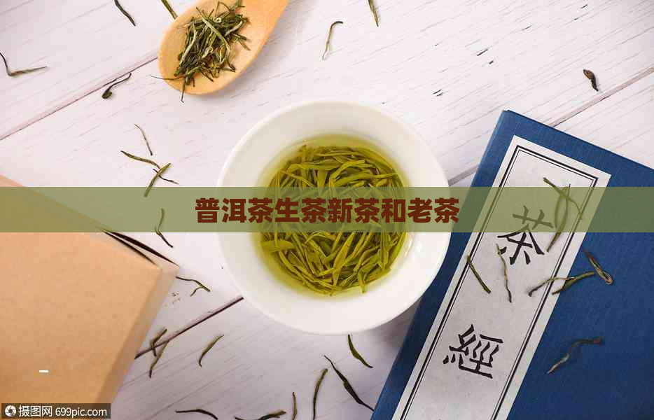 普洱茶生茶新茶和老茶