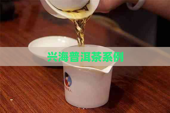 兴海普洱茶系例