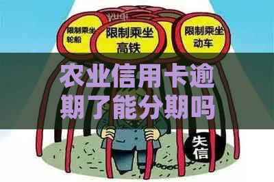 农业信用卡逾期了能分期吗要如何处理