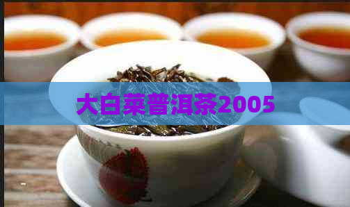 大白菜普洱茶2005