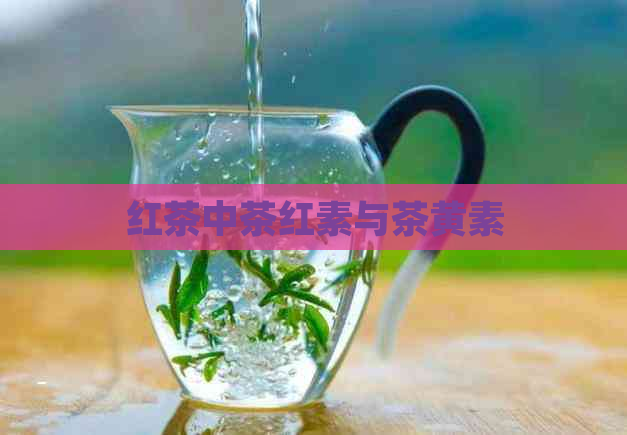 红茶中茶红素与茶黄素