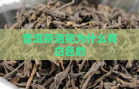 普洱茶泡完为什么有白色的