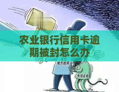 农业银行信用卡逾期被封怎么办