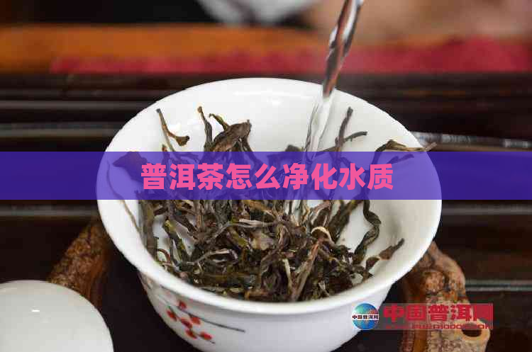 普洱茶怎么净化水质