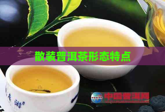 散装普洱茶形态特点