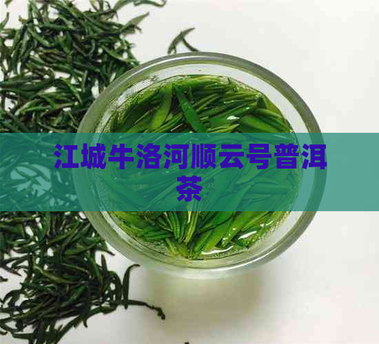 江城牛洛河顺云号普洱茶