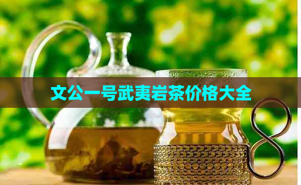 文公一号武夷岩茶价格大全