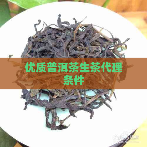 优质普洱茶生茶代理条件