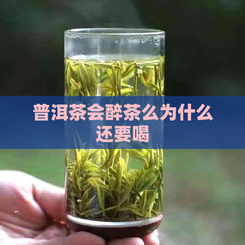 普洱茶会醉茶么为什么还要喝