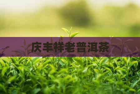 庆丰祥老普洱茶