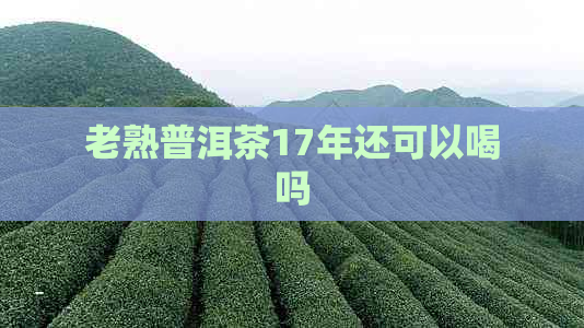 老熟普洱茶17年还可以喝吗