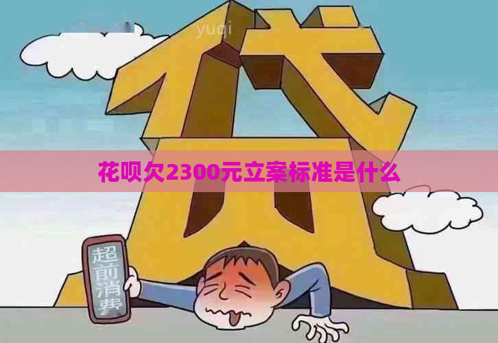 花呗欠2300元立案标准是什么