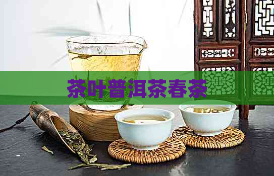 茶叶普洱茶春茶