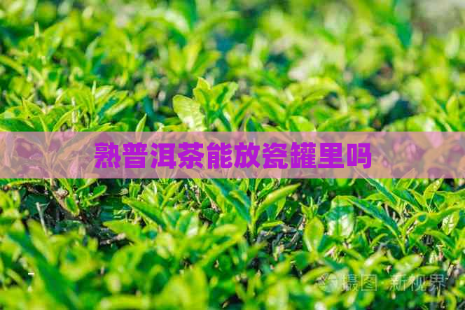 熟普洱茶能放瓷罐里吗