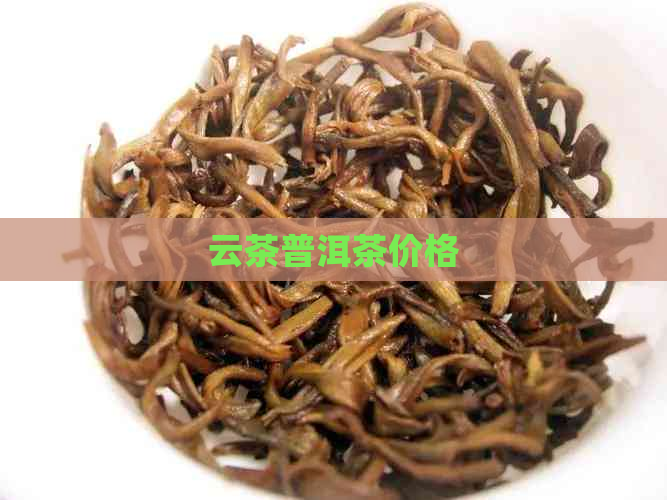 云茶普洱茶价格