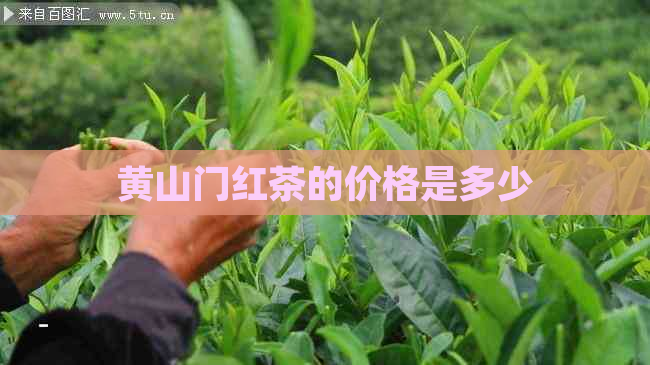 黄山门红茶的价格是多少