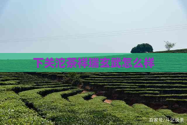 下关沱茶祥瑞玄武怎么样