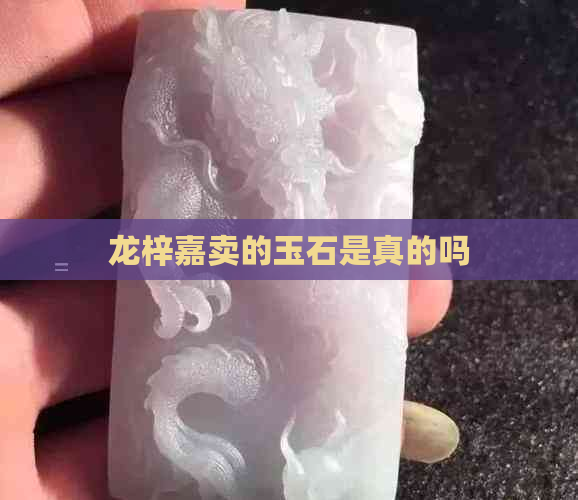 龙梓嘉卖的玉石是真的吗