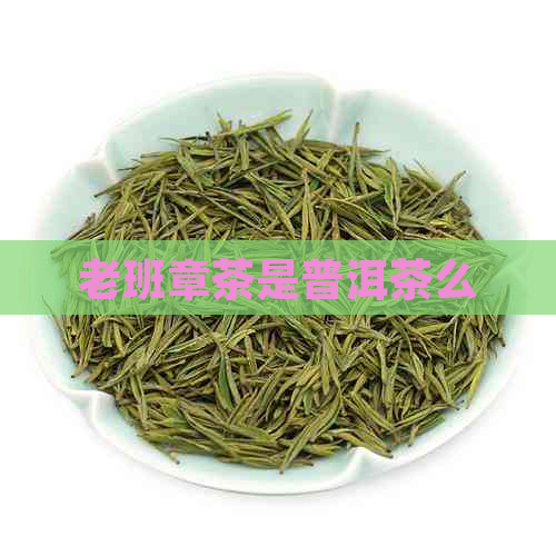 老班章茶是普洱茶么