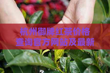 杭州御牌红茶价格查询官方网站及最新报价