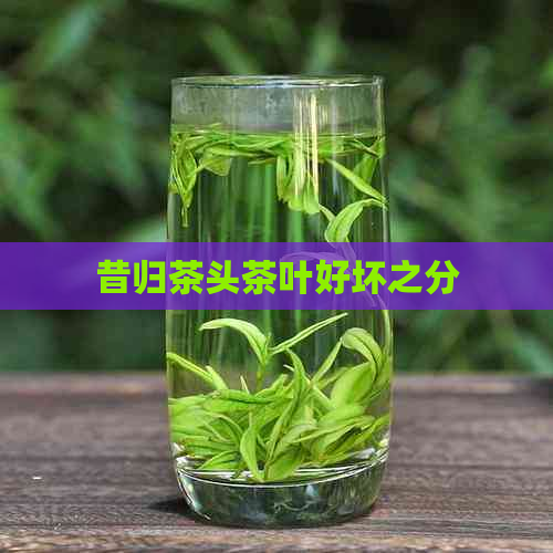 昔归茶头茶叶好坏之分