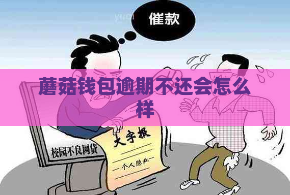 蘑菇钱包逾期不还会怎么样