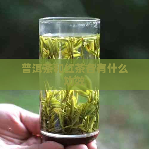 普洱茶和红茶各有什么功效