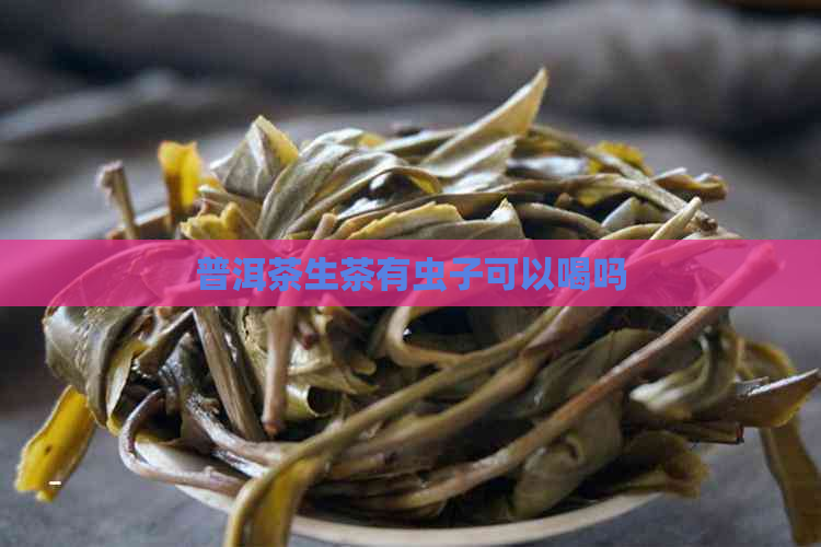 普洱茶生茶有虫子可以喝吗