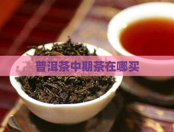 普洱茶中期茶在哪买