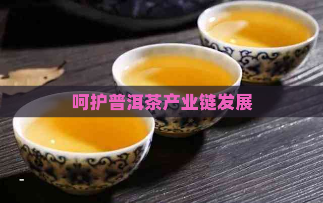 呵护普洱茶产业链发展