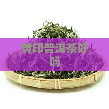 黄印普洱茶好吗