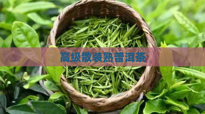 高级散装熟普洱茶