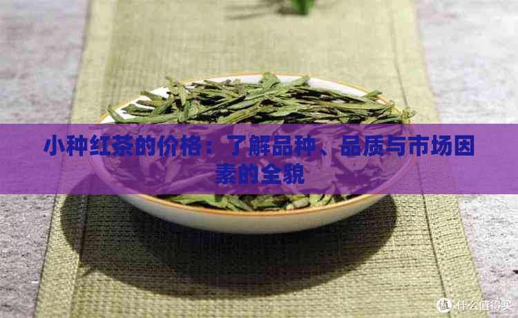 小种红茶的价格：了解品种、品质与市场因素的全貌