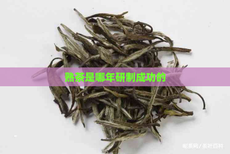 熟茶是哪年研制成功的