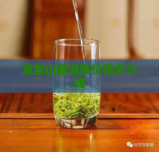 龙堂山普洱茶价格多少钱