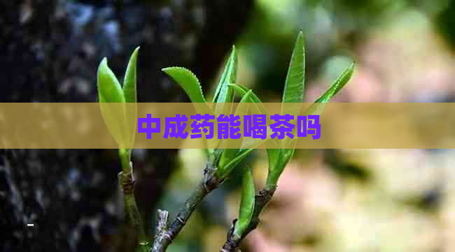 中成药能喝茶吗