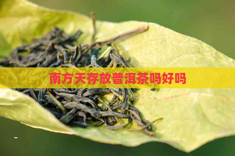 南方天存放普洱茶吗好吗